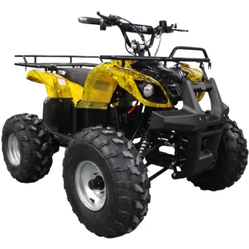 Электроквадроцикл GreenCamel Атакама T220 (48V 1000W R8 Дифференциал) Золотая осень