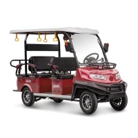 Гольф-кар мини Gelbert Venus 60V 1200Вт Красный